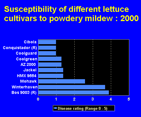 Graph of the susceptibility of different lettuce cultivars to powdery mildew: 2000.