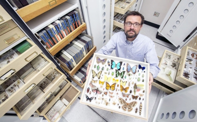 Gene Hall, Collections Manager, with some of the 2M specimens in the UA collection. Photo: Ron Medvescek / AZ Daily Star