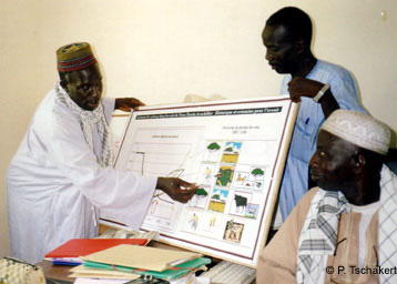 Photo of a visual depiction of CENTURY-produced scenarios of soil management being presented to village authorities.