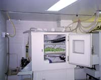 Interior of growth chamber