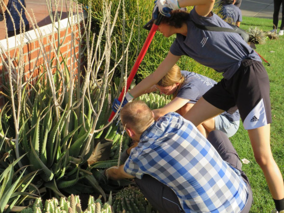 Students planting succulents on campus.