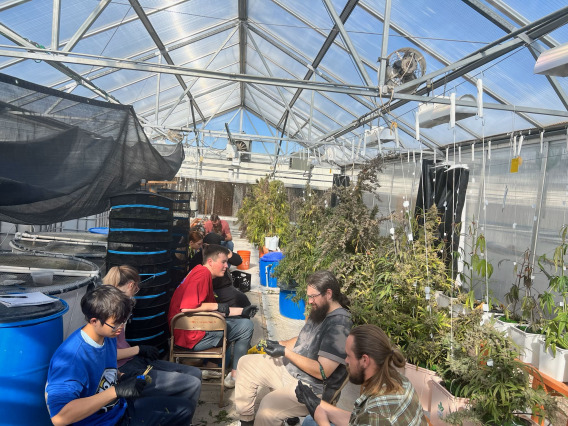 Students working in a greenhouse.