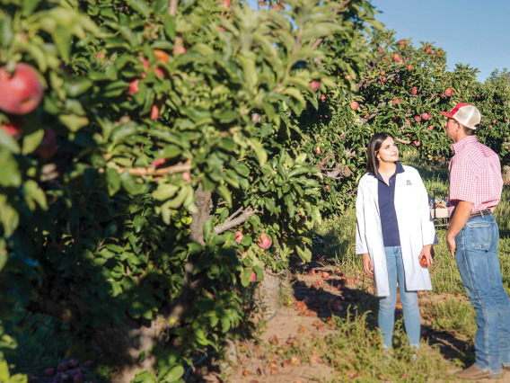 Farmer and student in lab coat in an apple orchard.