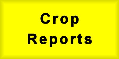  | Crop Reports |
